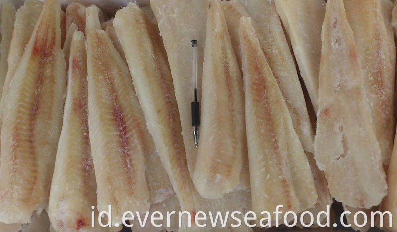 Fillet ikan beku segar hake fillet beku